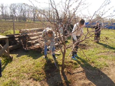 Ванновские волонтеры провели субботник на территории храма